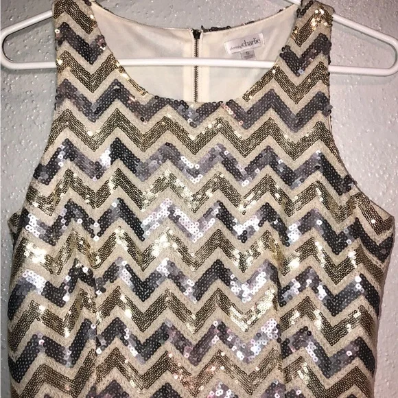 Charming Charlie Size Small Sort Party Dress.Covered in Gold and Silver Sequins - Picture 6 of 9